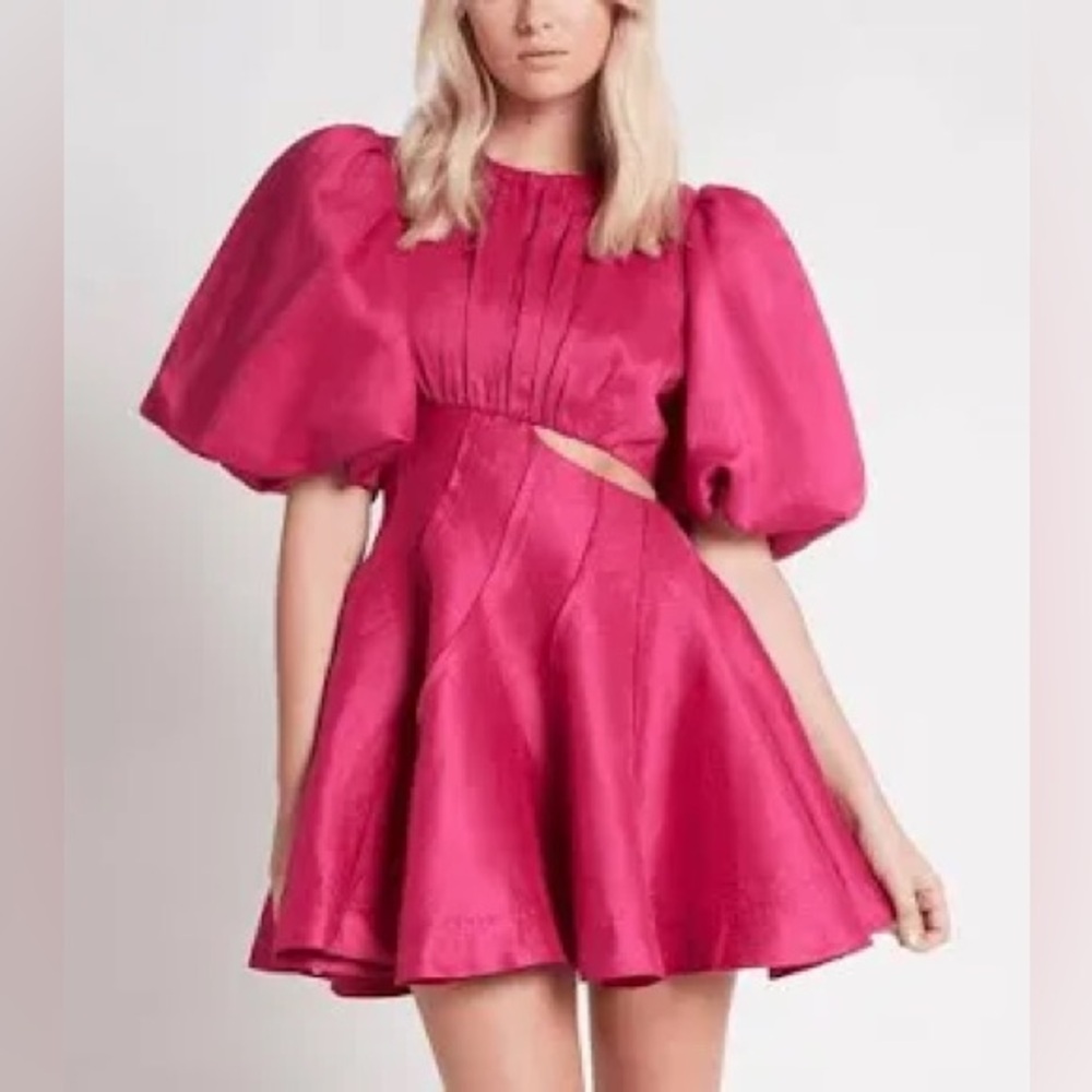 Fuchsia mini dress. Never worn and in great condition